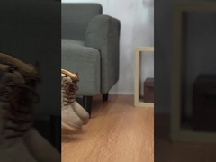 Calçados desportivos, antideslizantes e resistentes ao desgaste, para homens